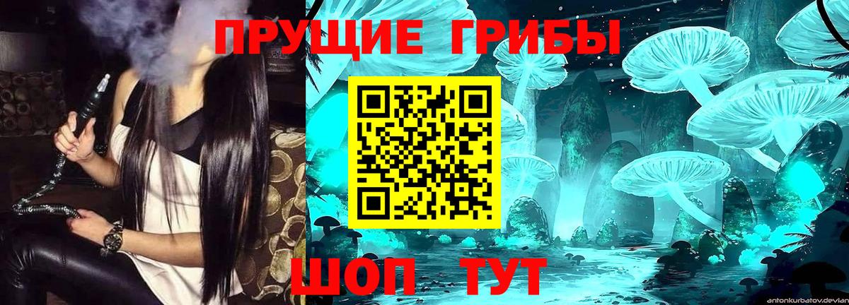 Ливны  Галлюциногенные грибы Magic Shrooms  Вход с VPN 